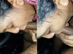 Down in the mouth NRI Bhabhi Give Blowjob To Deaver On passenger car